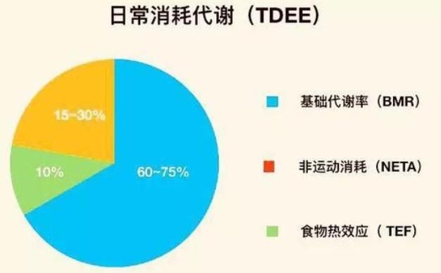 减肥一年不吃饭,为什么减肥不吃饭很难受