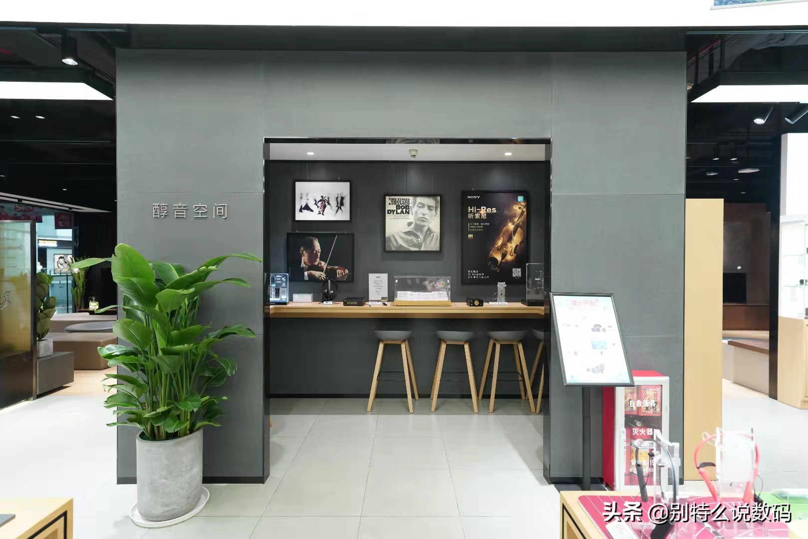 强化兴趣社群服务体验，广州索尼直营店乔迁开业