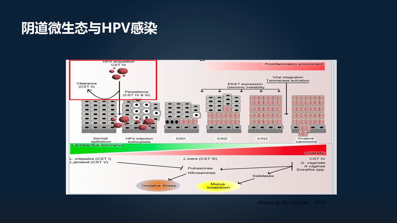 肖冰冰,肖冰冰的创作