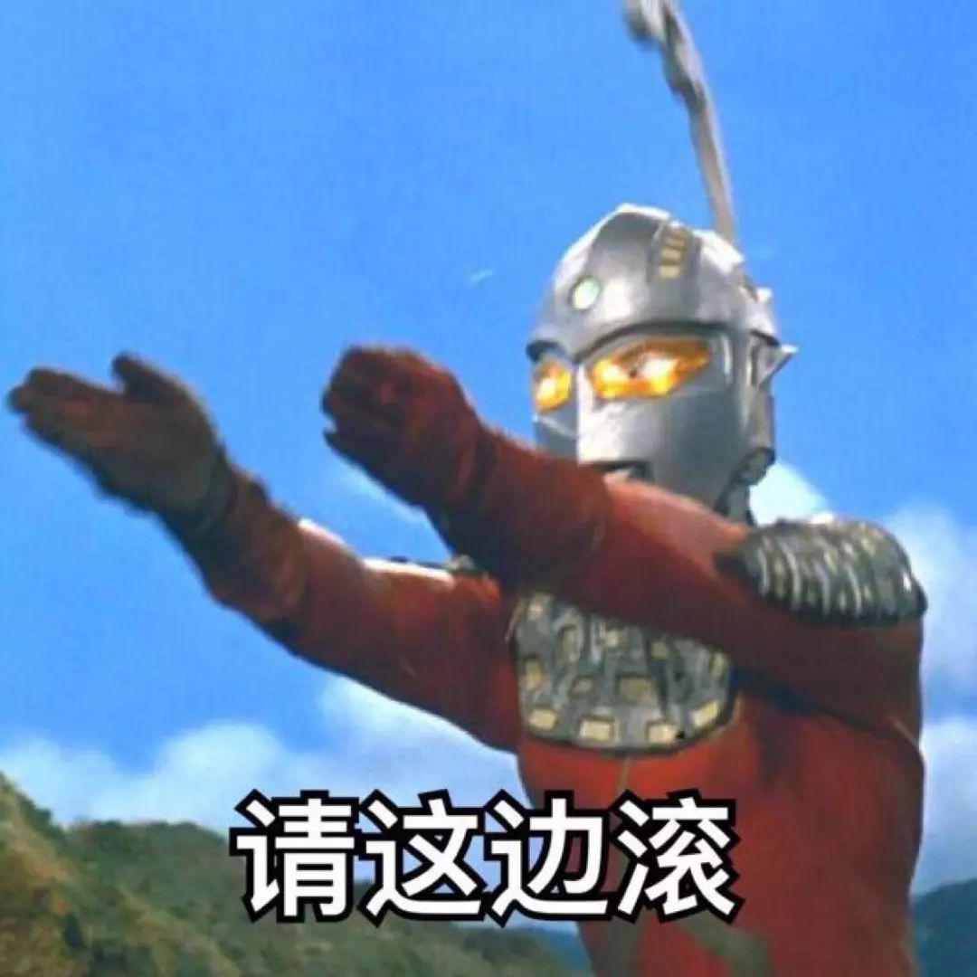 盘点致命的养猫玩具,猫咪新出网红用品