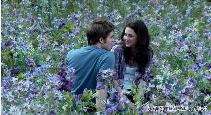 那些年我们一直追的美剧——《暮光之城》