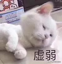 美容养生灌肤,美容灌肤正确方法步骤