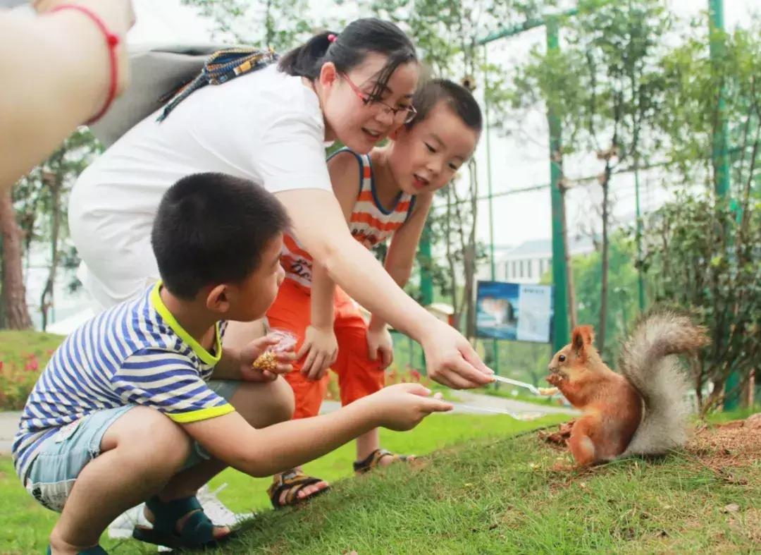 长沙松鼠园游玩攻略,端午长沙再成旅游热门目的地