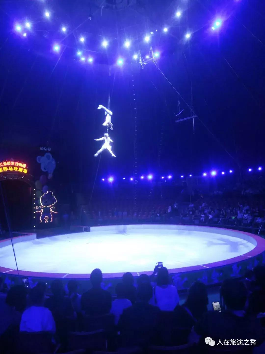 上海野生动物园国际马戏,上海野生动物园的马戏剧场演多久