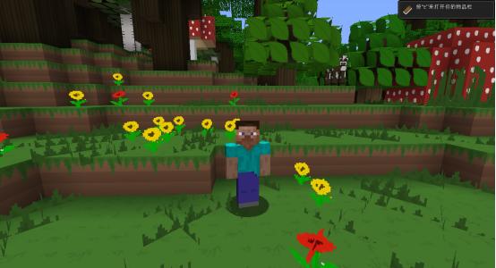 我的世界五款老玩家才知道材质包,我的世界顶级显卡加顶级材质包