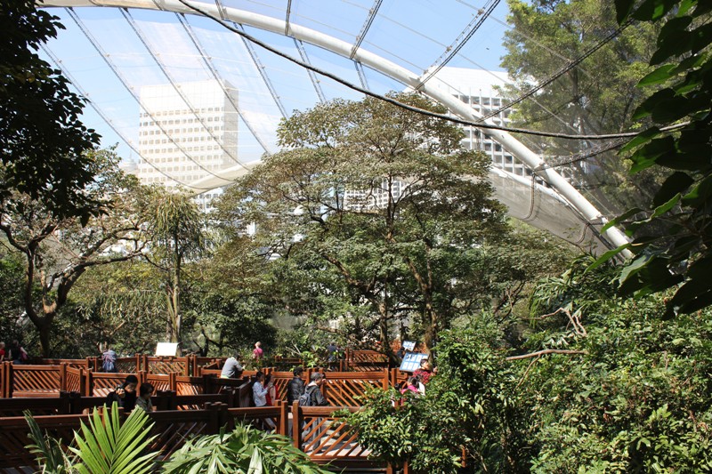 石屎森林中的一块翡翠——香港公园