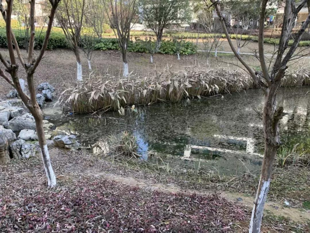 南京一物业公司成立8年，经营不善，抛售大量资产