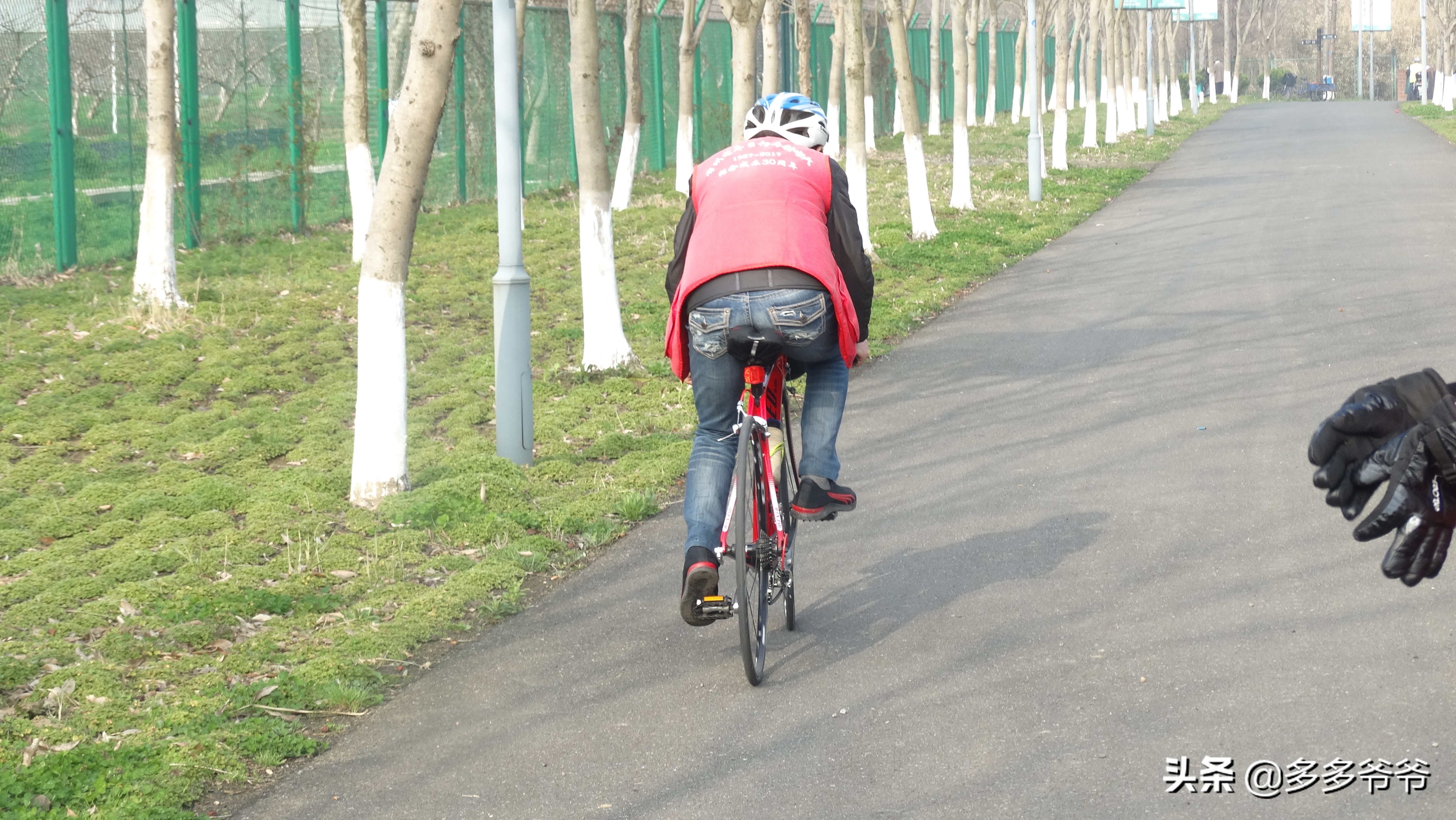 常州赏花自驾,常州附近有没有好玩的公园免费的