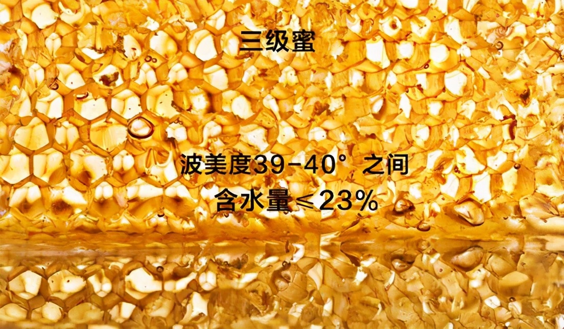 执“蜜”不悟，润口蜂蜜应该怎么挑？