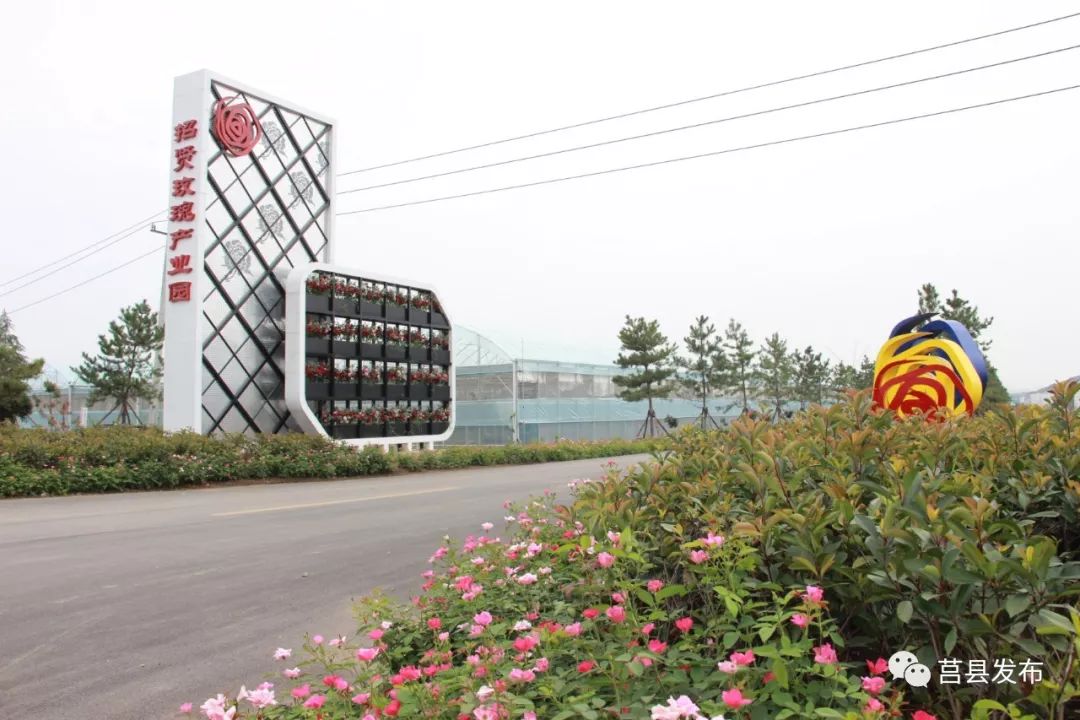 日照莒县重点项目,莒县2020年重点项目观摩