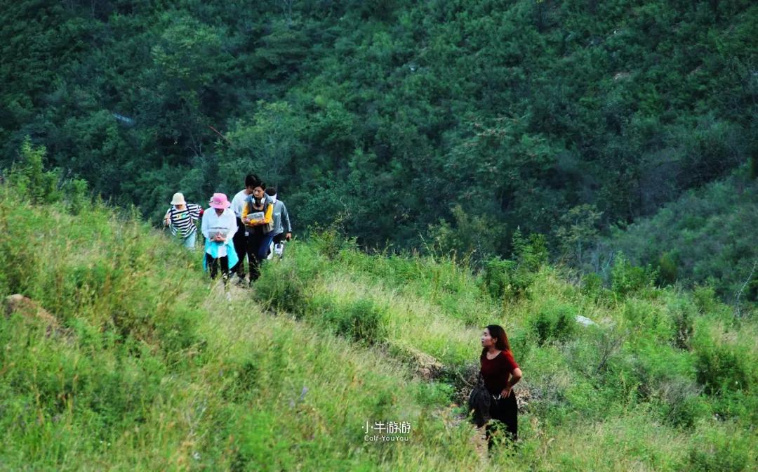 小牛游记2019,小牛骑行之旅