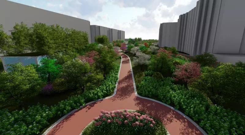 杭州之江高中2020录取分数线,杭州之江中学2020中考情况