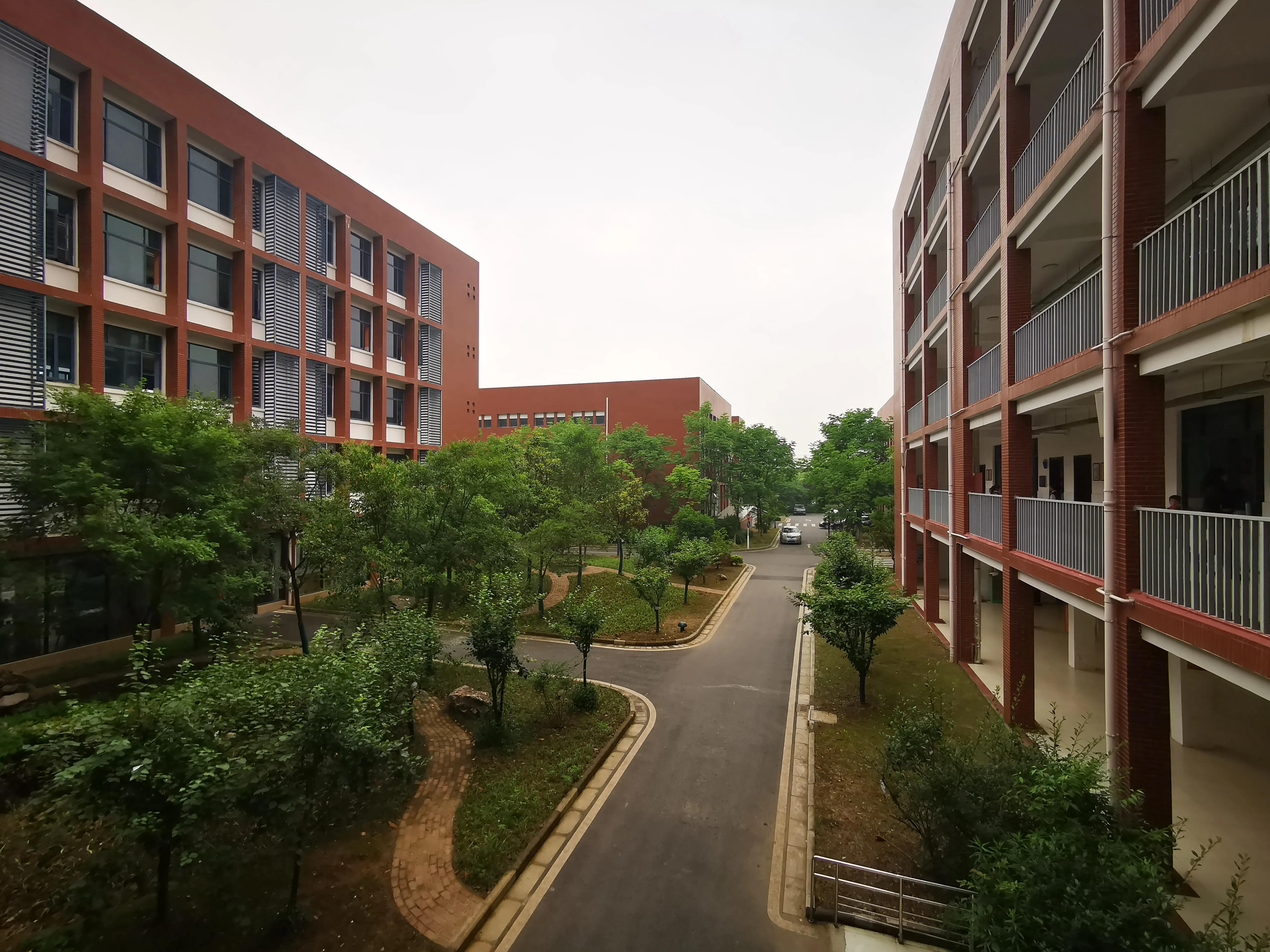 原创写作最好的平台,原创写作