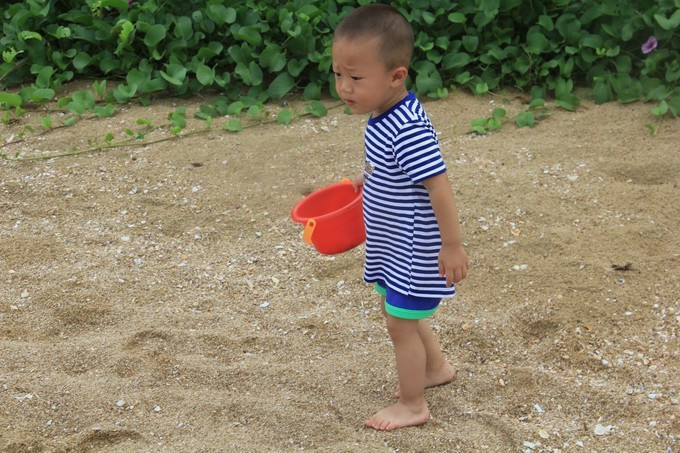 海边美食推荐旅游攻略,海边旅游美食风景攻略