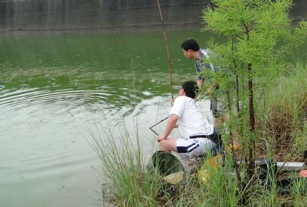 广东钓土鲮鱼用多大的子线和钩子,南宁用什么饵料钓土鲮