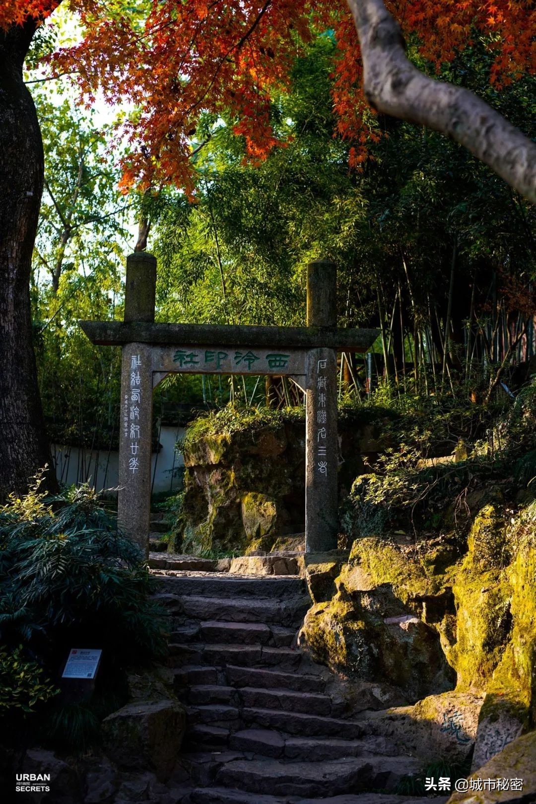 曾经的杭州第一大家族,杭州十大望族