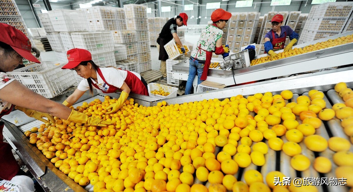 江西著名的景点和特产有哪些,江西的十大特产有什么