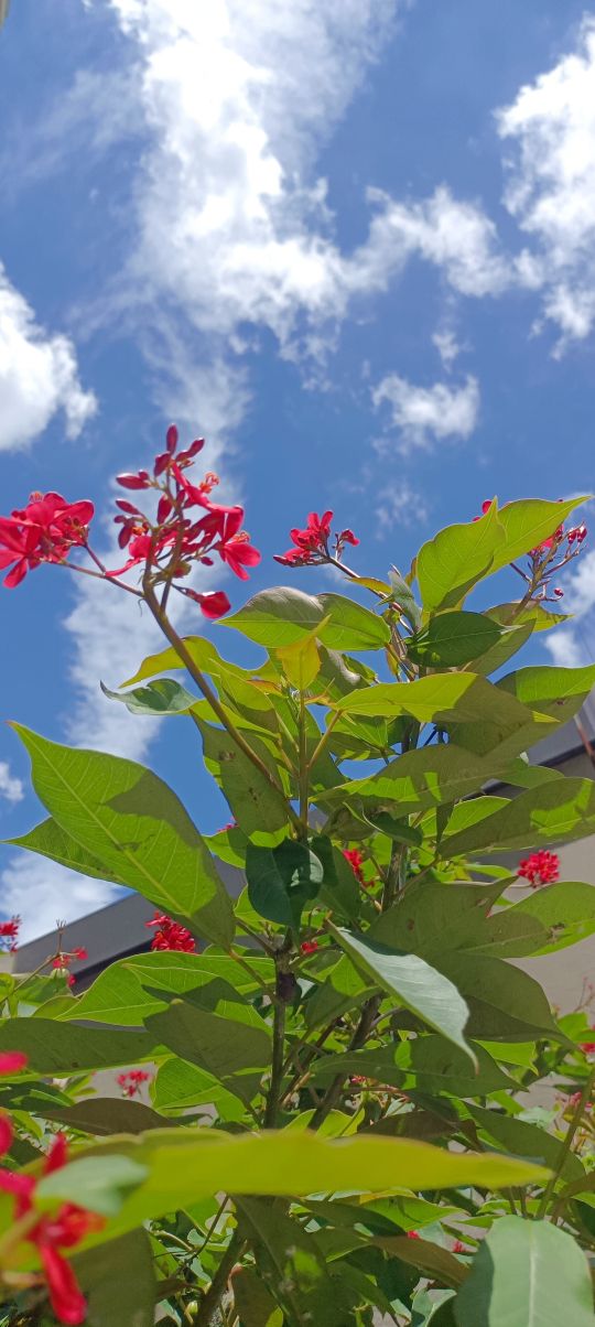 精子液化时间50分钟完全液化不育,精子液化有凝聚物