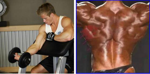 增肌训练计划一周表,上班族增肌计划一周表