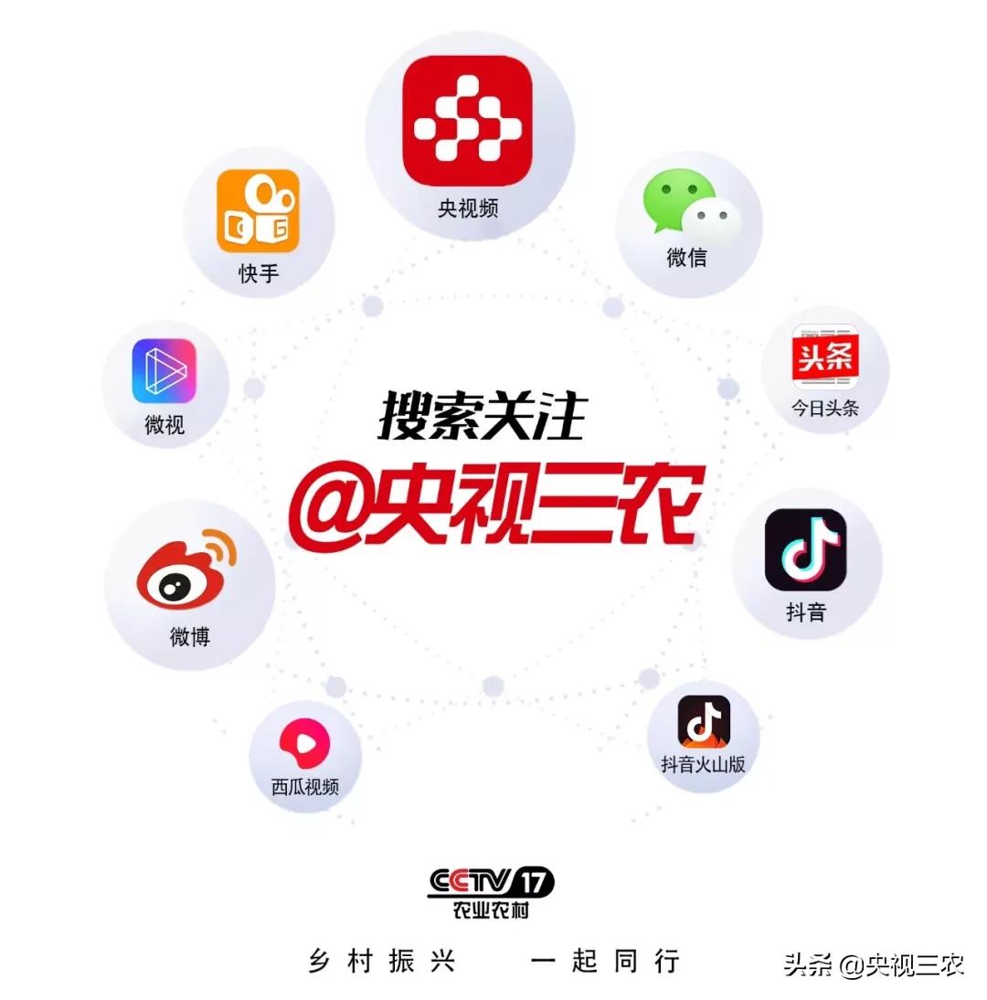 抓防疫保春耕两不误,促融合防疫春耕两不误