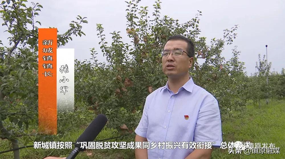 镇原花椒,襄汾花椒映红致富路