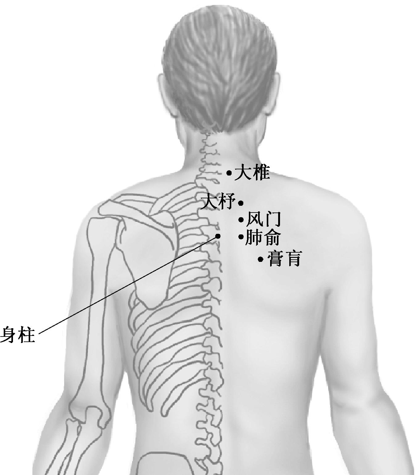 支气管炎的推拿手法,手上治疗支气管炎穴位准确位置图