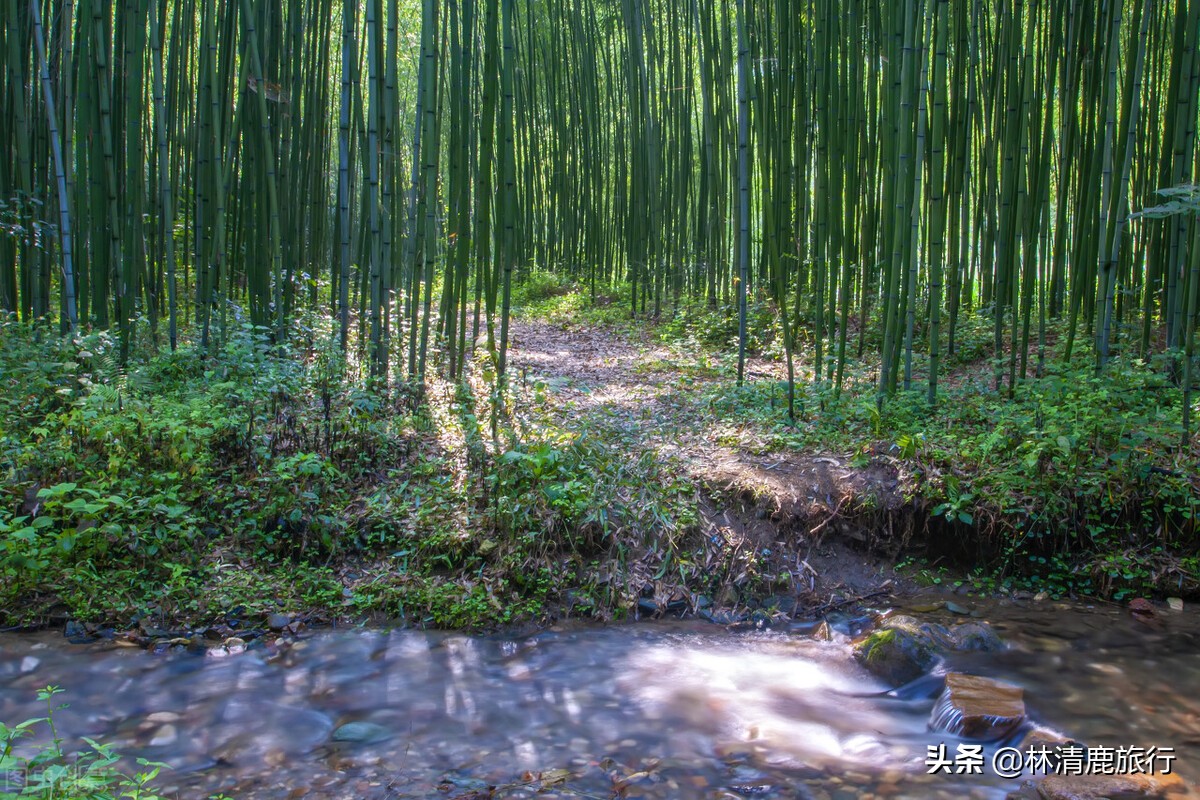河南最适合度假居住的景区,河南神仙谷旅游景区
