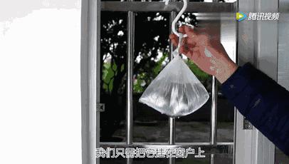 家里蚊虫蟑螂消除小秘诀,家里蟑螂怎么用洗衣粉消灭