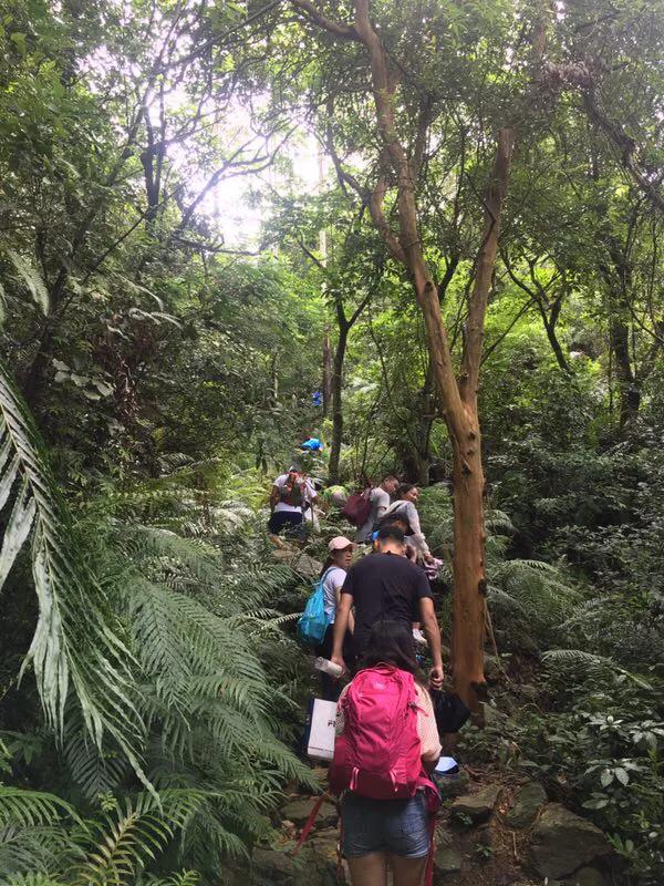 风雨无阻雨水版,风雨无阻赣江游