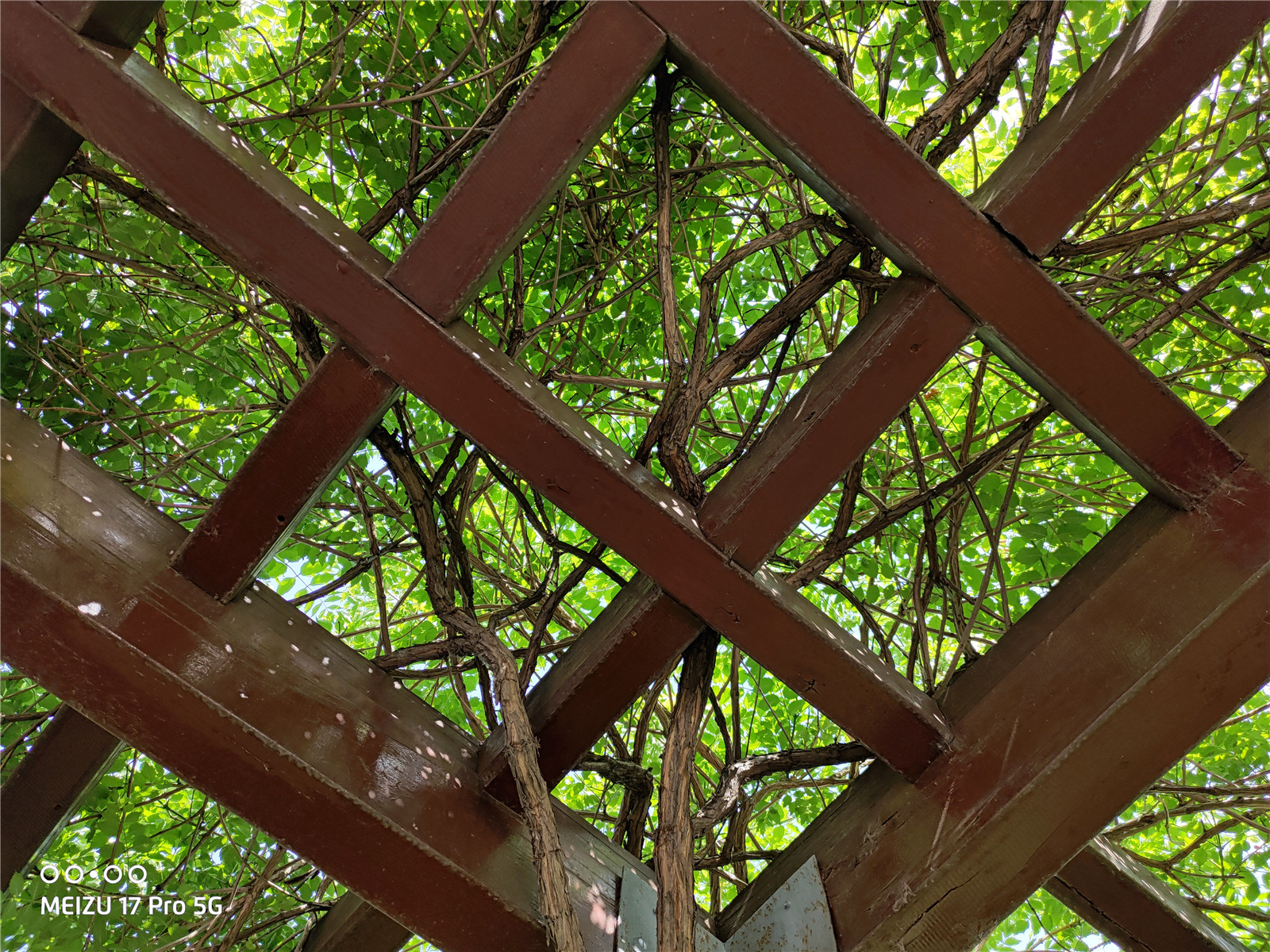 魅族17pro升级flyme9.2,魅族17pro无线充电