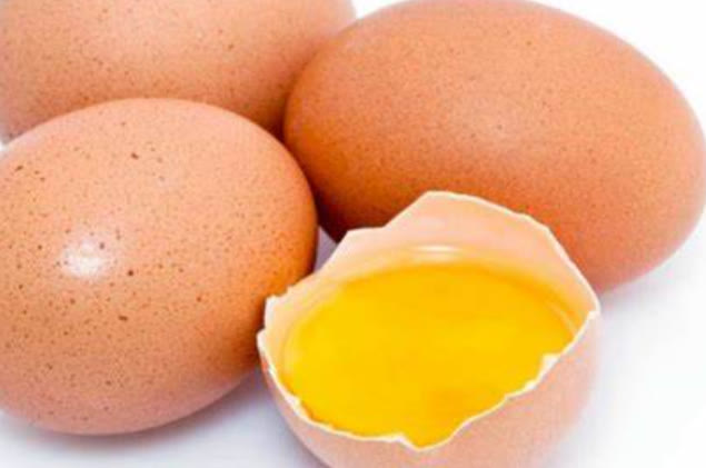 泰迪可以吃鸡蛋么？答案是可以的，但这五种情况除外