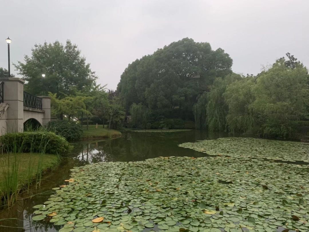 南京六大亿元顶级豪宅,南京千万以上豪宅真实成交量