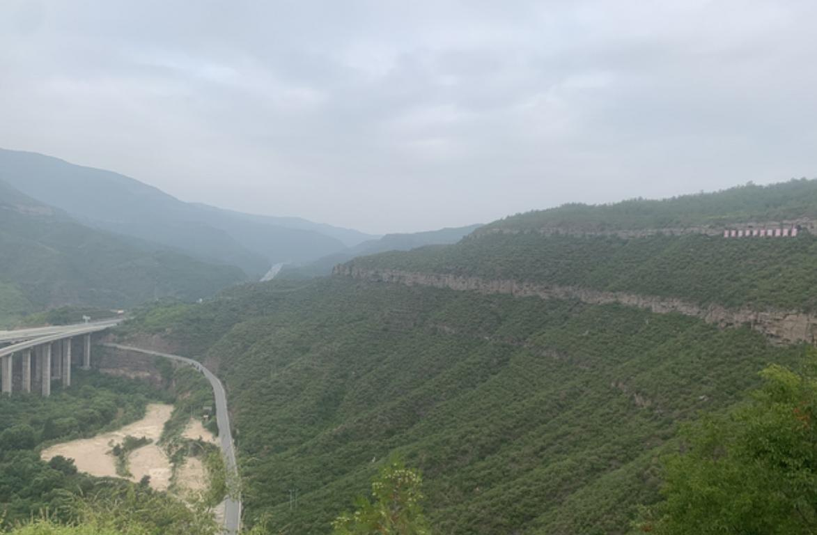 植树造林40年,黄河水变清中国植树造林