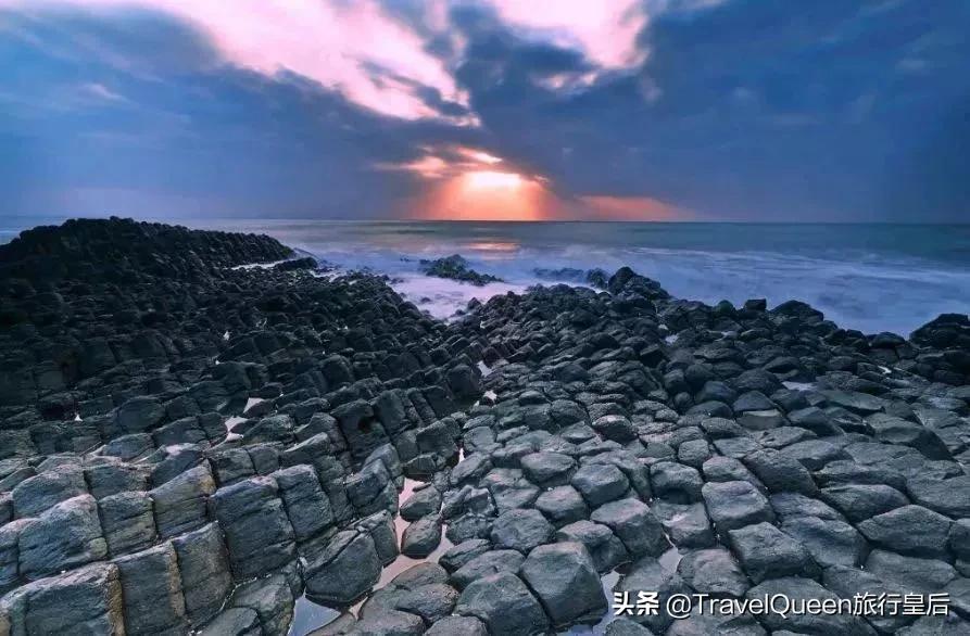 动物森友会无人岛一天可以去几次,动物森友会所有虫类图鉴