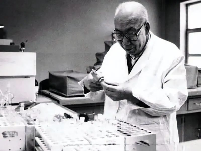 盘点1970-2020年已故名人,2017年离世的十位名人