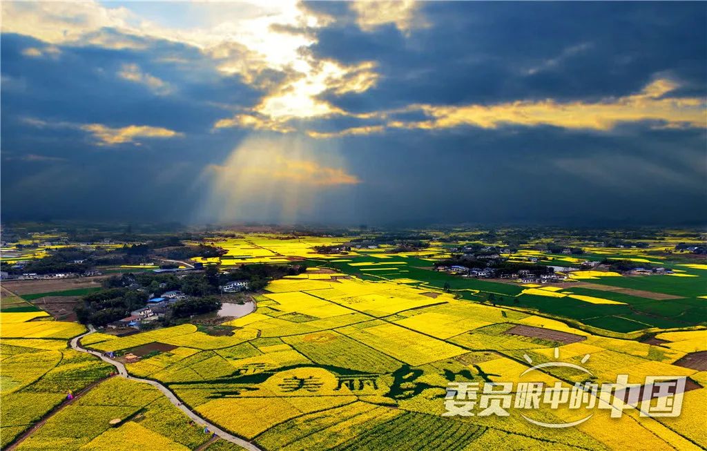 美丽中国中国篇,美丽中国双碳有我主题范文800字