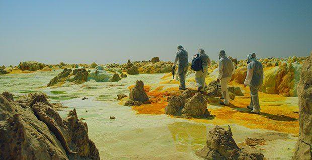 偶像养成综艺,偶像养成全集