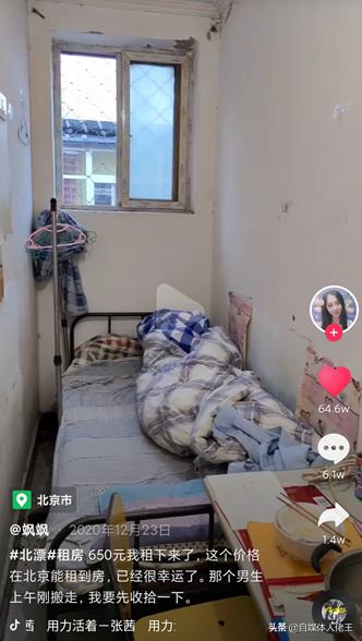 小常识视频如何涨粉过万,三个月涨粉十万爆款视频