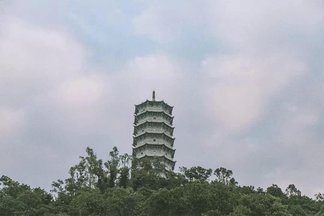 深圳周边自驾游一日游景点推荐,深圳30人报团一日游有什么景点