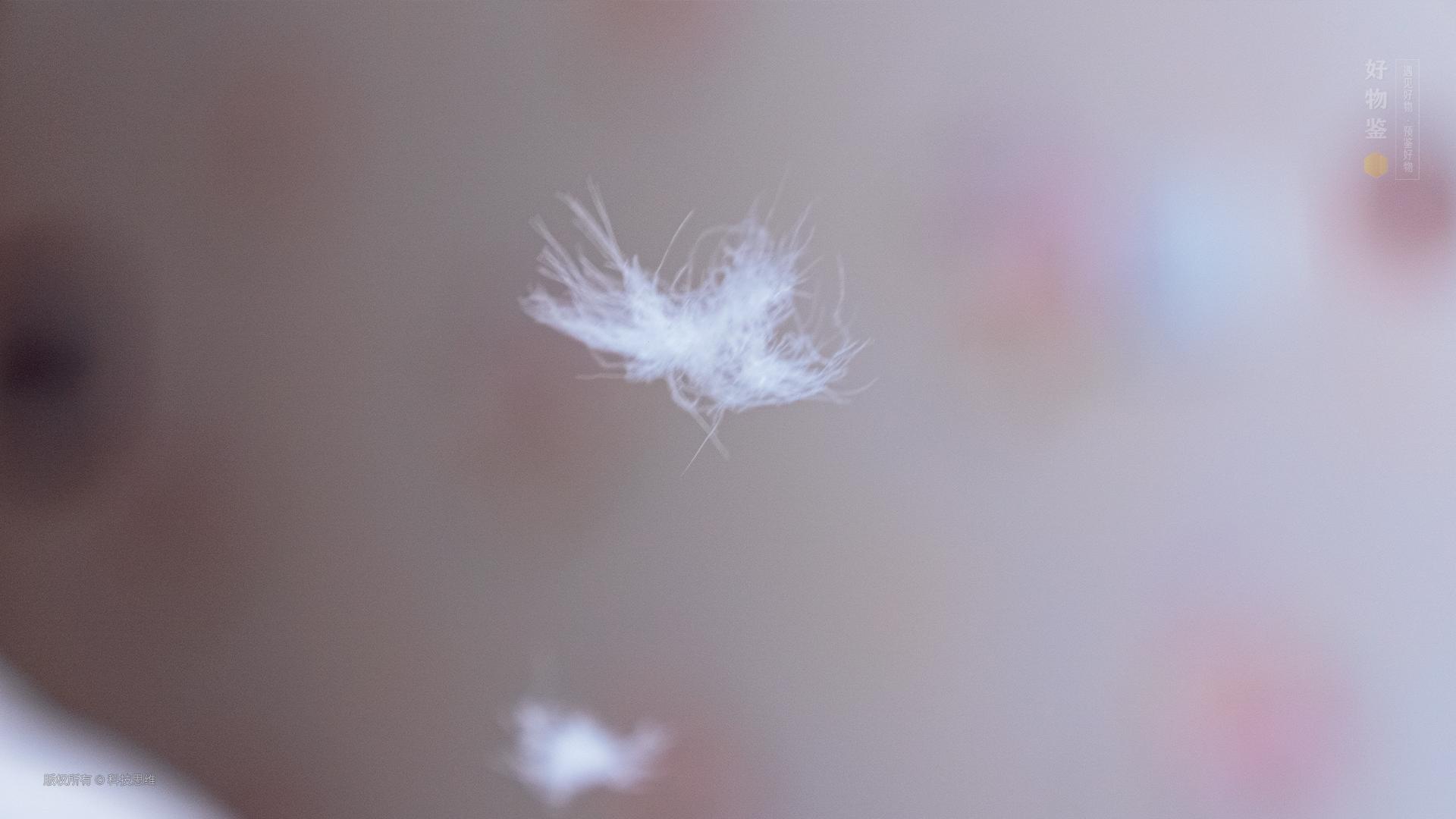 老罗鹅绒被推荐,网易严选鹅绒被测评