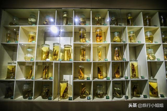 天目湖加南山竹海哪里泡温泉好,天目湖度假秘境享受绝美自然山水