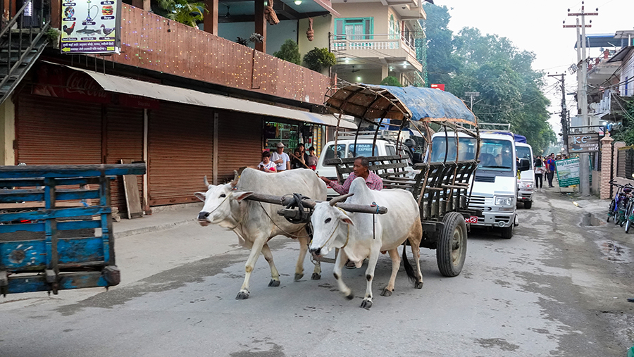 尼泊尔十堰,尼泊尔为什么这么穷