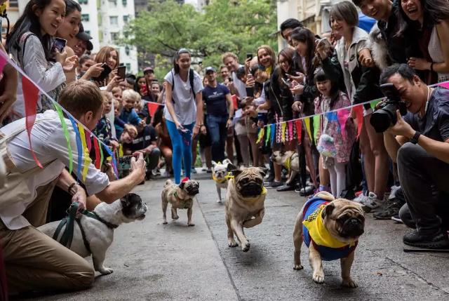 环球港5月20号有活动吗,环球港五一活动