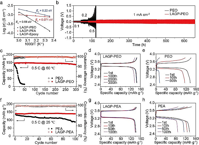 哥伦比亚大学杨远、陈曦团队AM：珍珠层结构电解质，用于可负载固