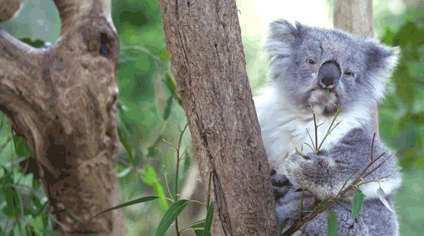 冷冷冷冷冷，一不小心又吃多了……教你4招拒绝贪吃