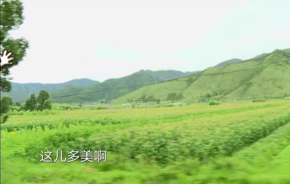 羞答答的玫瑰静悄悄的开钢琴教程,羞答答的玫瑰静悄悄地开李云迪