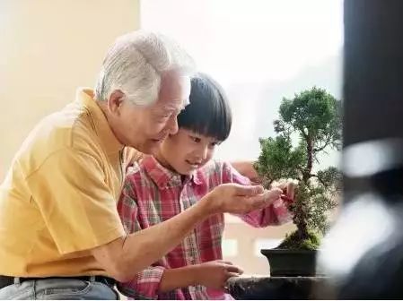 杭州9岁女童遇害之后：隔代帮忙“可以有”，隔代抚养“尽量别”