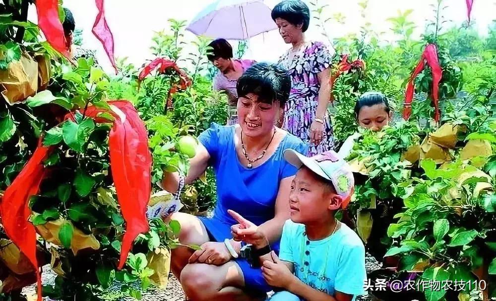 农村无本钱创业22种方法,农村创业100种商机