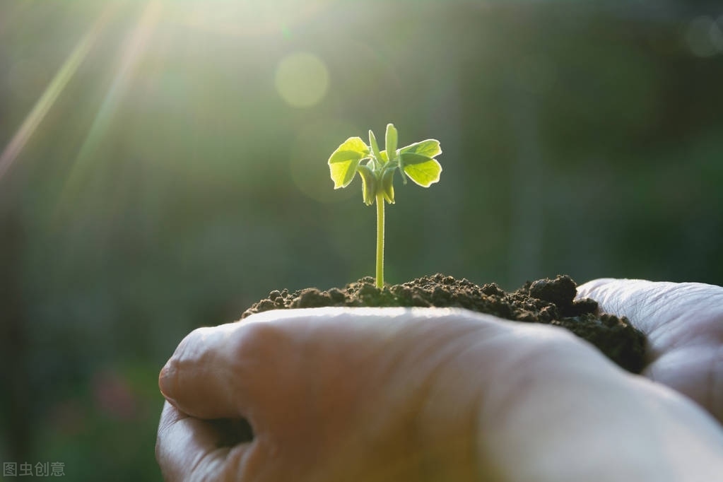 卵巢癌复发后腹部全是肿瘤,肿瘤患者复发转移怎么办