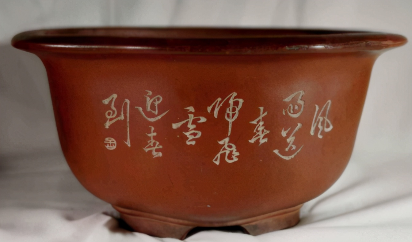 养花怎么选盆,新手养花推荐什么盆